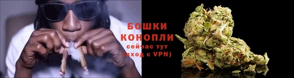 тгк Бородино