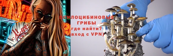 тгк Бородино
