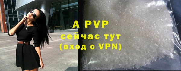 тгк Бородино
