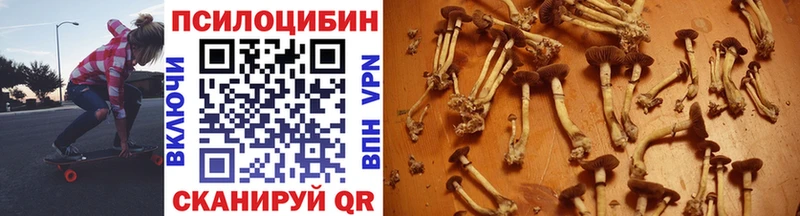 Галлюциногенные грибы Psilocybine cubensis  hydra   Яхрома 